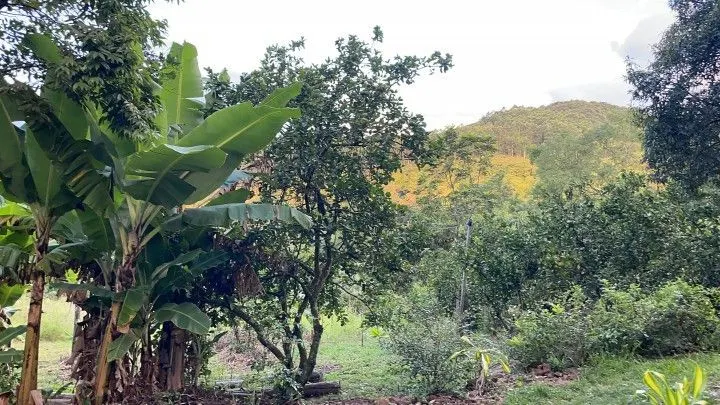 Country home for sale of 3 acres in Rolante, RS, Brazil