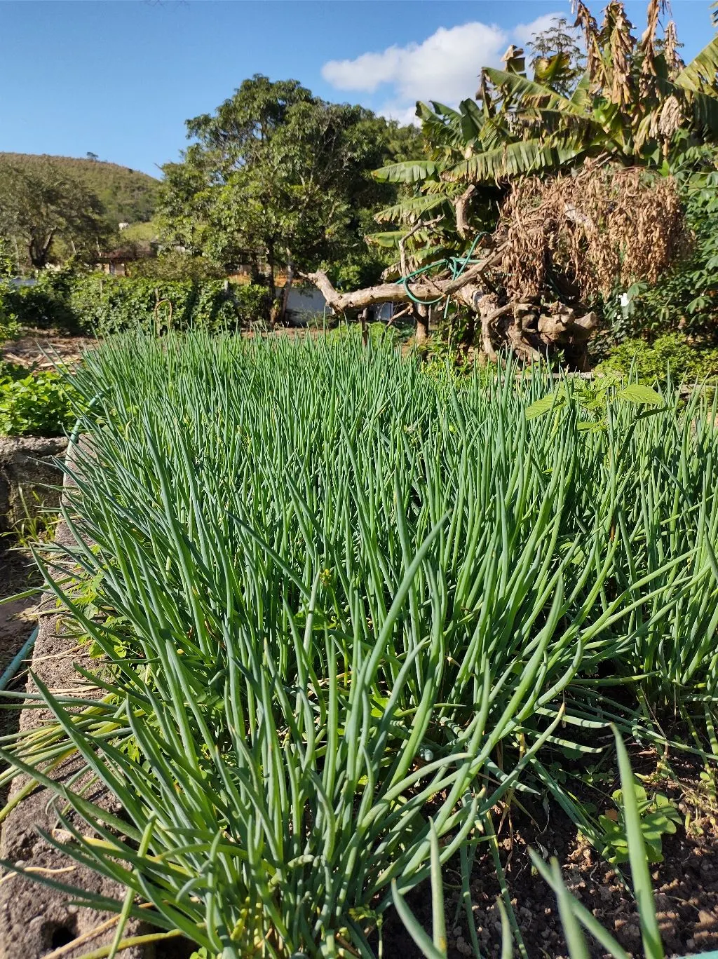 Chácara à venda de 4.852 m² em São José dos Campos, SP, Brasil