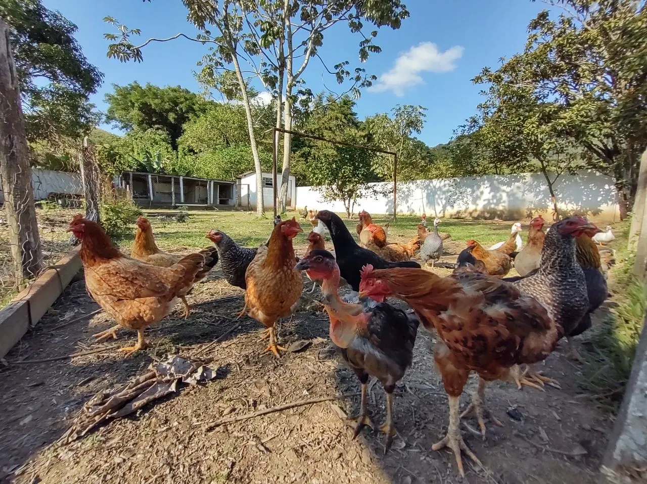 Chácara à venda de 4.852 m² em São José dos Campos, SP, Brasil
