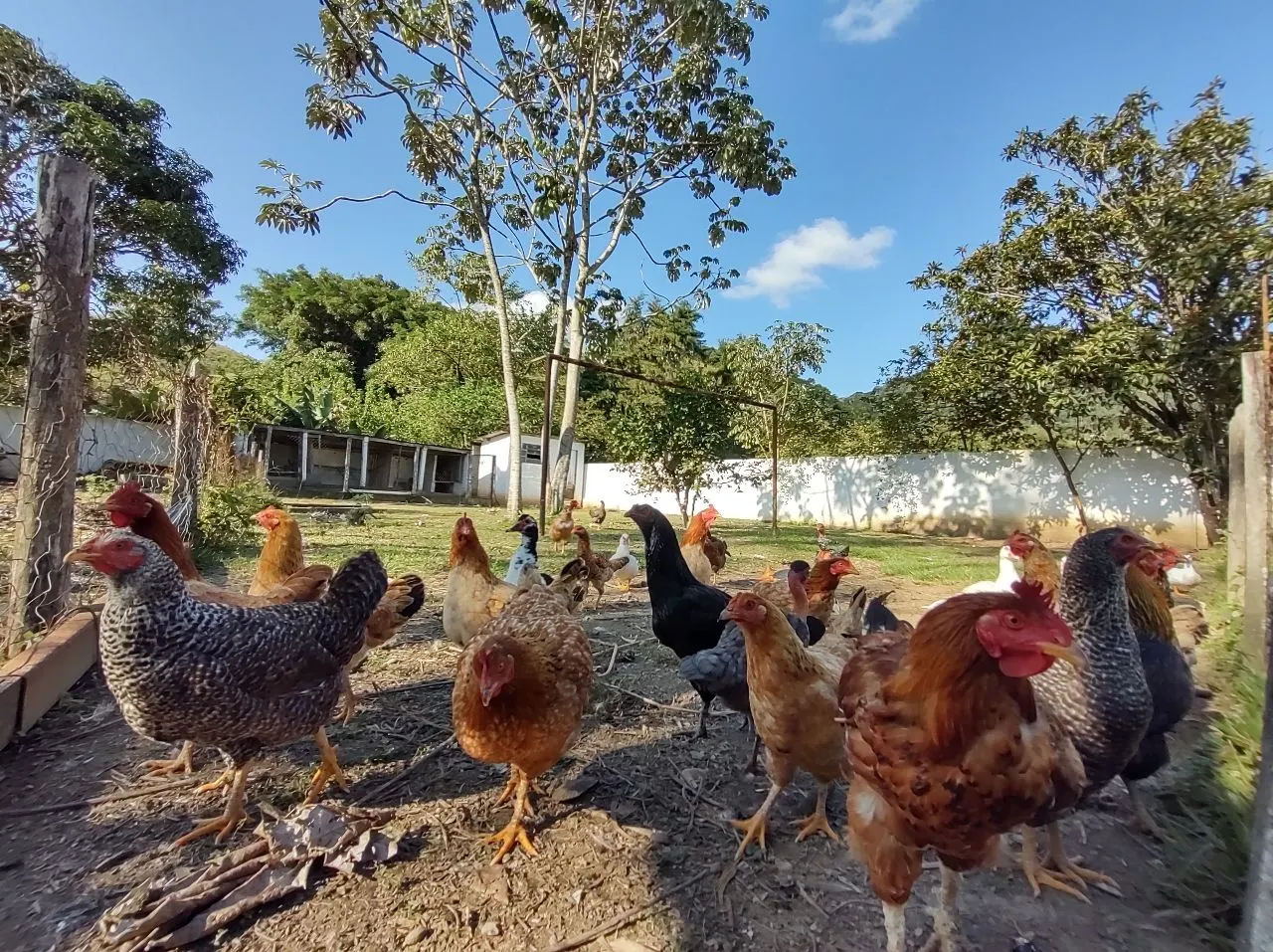 Chácara à venda de 4.852 m² em São José dos Campos, SP, Brasil