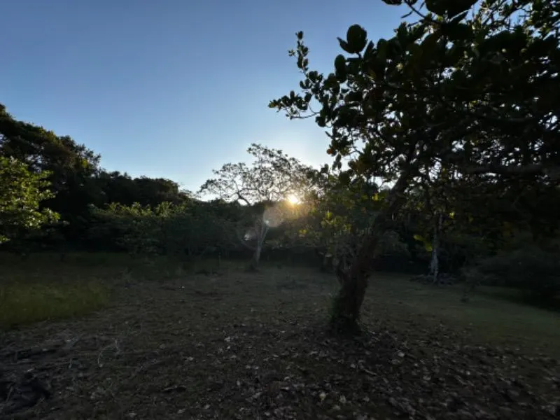 Chácara à venda de 7.000 m² em Itanhaém, SP, Brasil