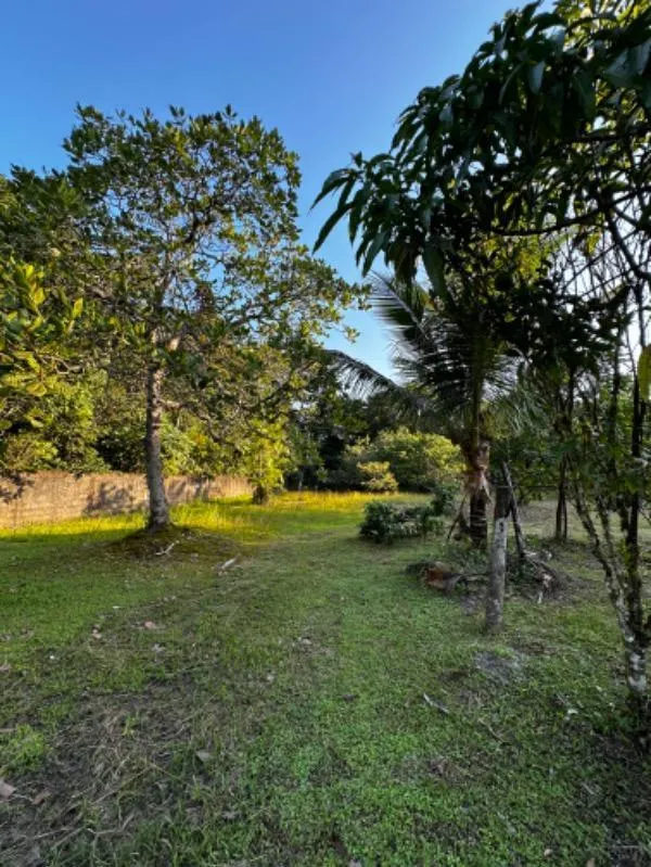 Chácara à venda de 7.000 m² em Itanhaém, SP, Brasil