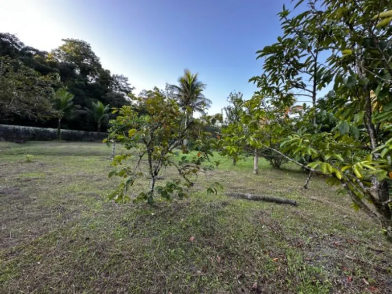 Chácara à venda de 7.000 m² em Itanhaém, SP, Brasil