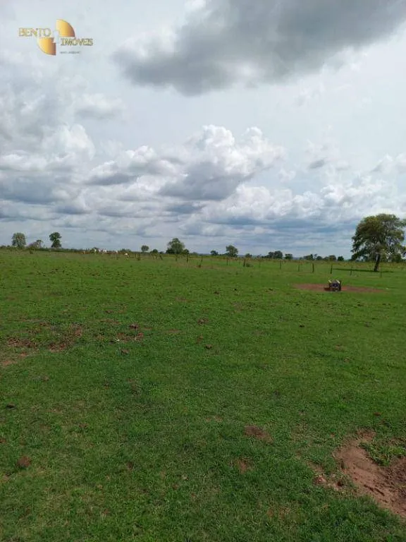 Fazenda à venda de 933 ha em Nova Xavantina, MT, Brasil