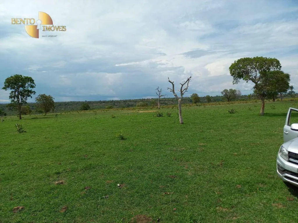 Fazenda à venda de 933 ha em Nova Xavantina, MT, Brasil