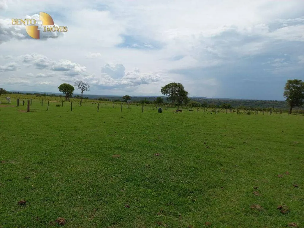 Fazenda à venda de 933 ha em Nova Xavantina, MT, Brasil