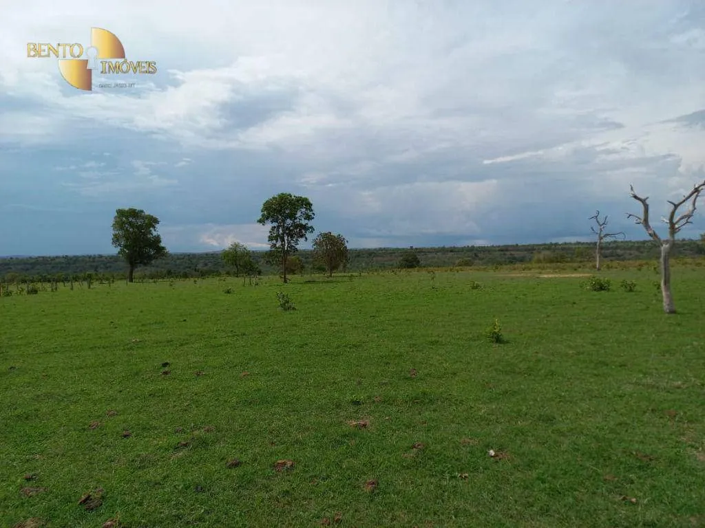 Fazenda à venda de 933 ha em Nova Xavantina, MT, Brasil