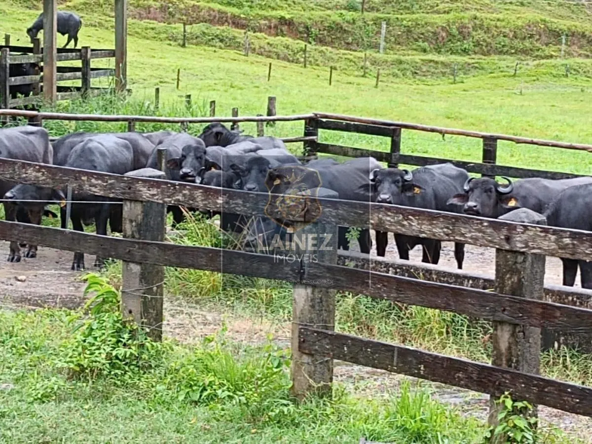 Fazenda à venda de 121 ha em Registro, SP, Brasil