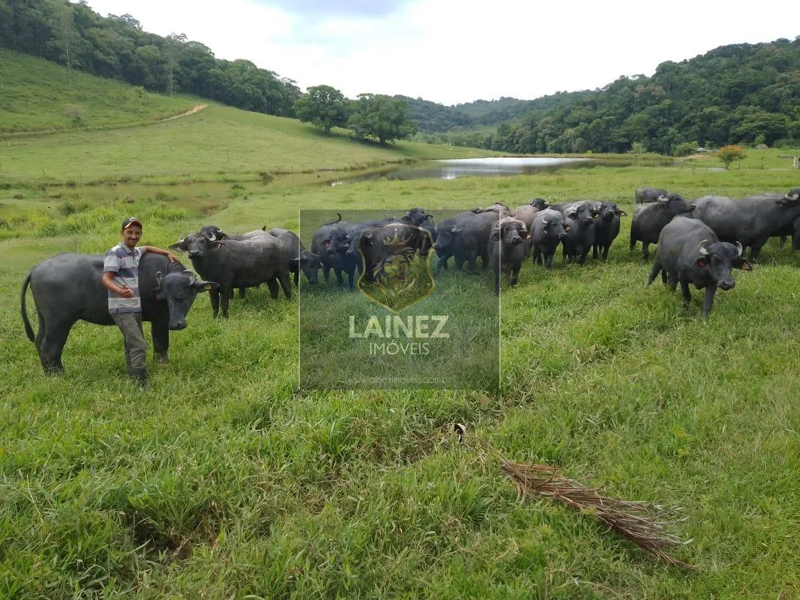 Fazenda à venda de 121 ha em Registro, SP, Brasil