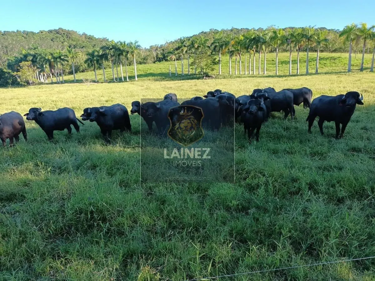 Fazenda à venda de 121 ha em Registro, SP, Brasil