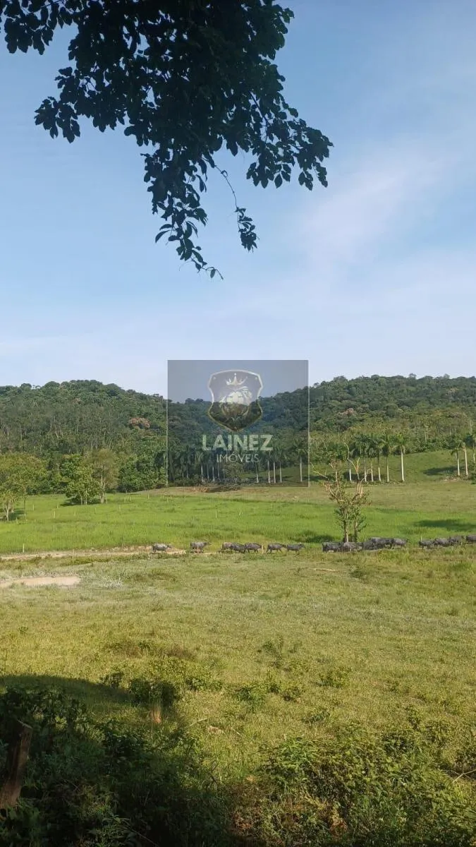 Fazenda à venda de 121 ha em Registro, SP, Brasil