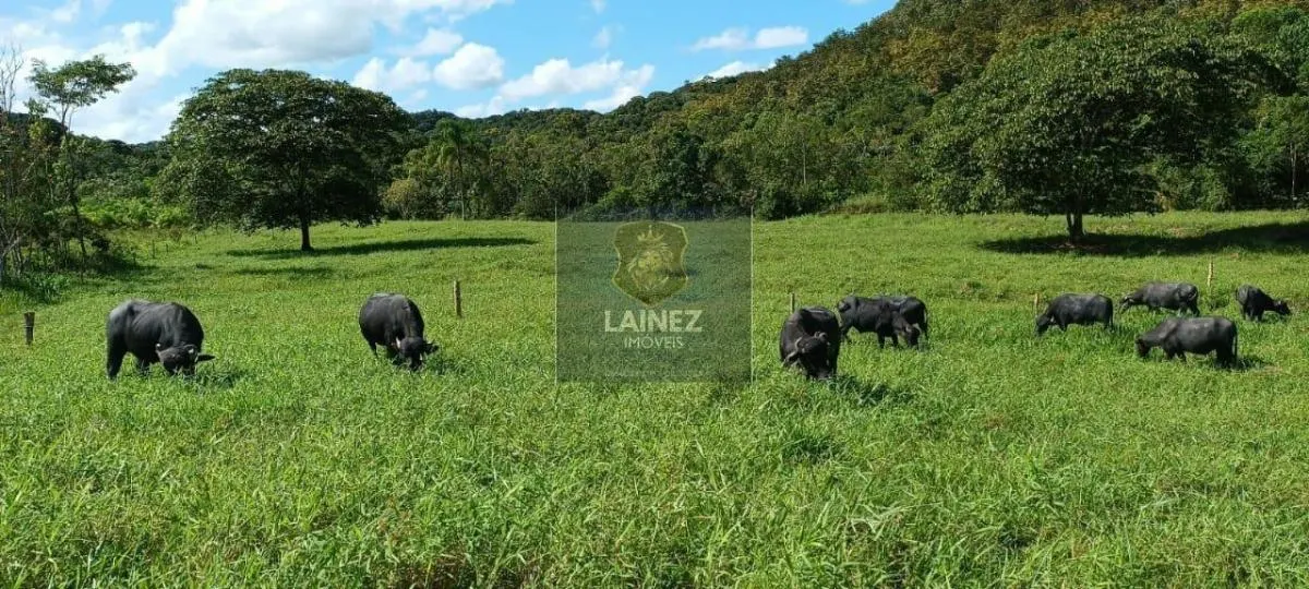 Fazenda à venda de 121 ha em Registro, SP, Brasil