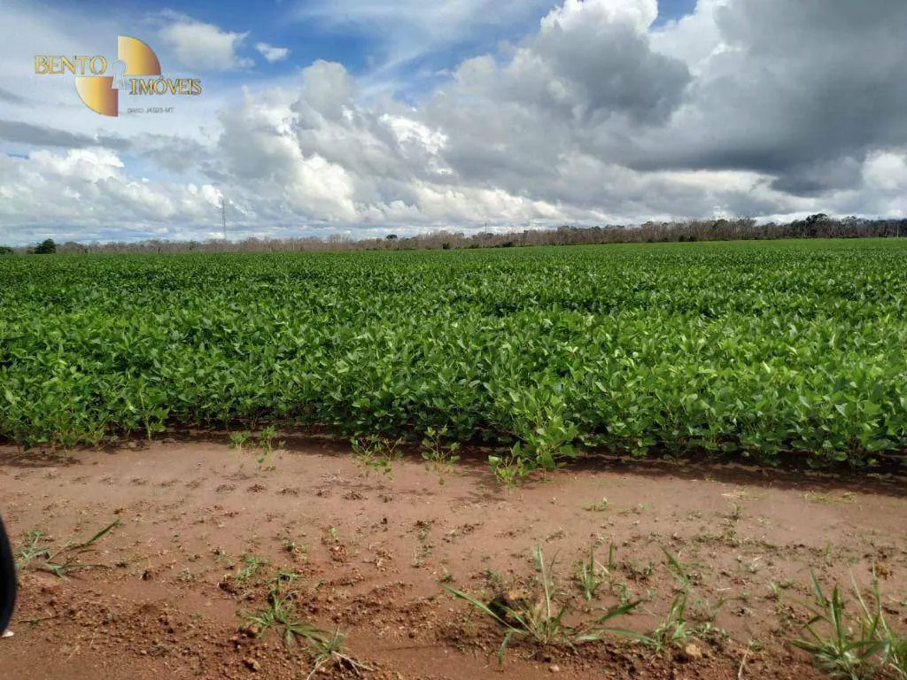 Fazenda à venda e para Arrendar de 5.000 ha em Guarantã do Norte, MT, Brasil