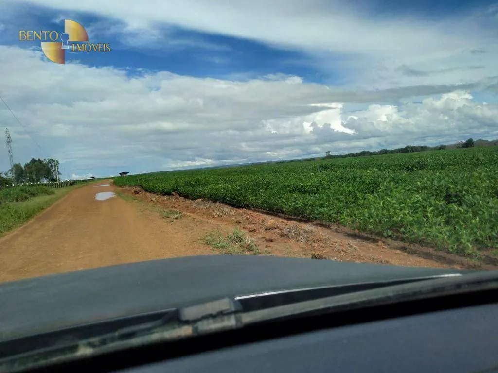 Fazenda à venda e para Arrendar de 5.000 ha em Guarantã do Norte, MT, Brasil