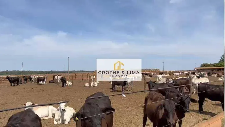 Fazenda à venda de 271 ha em Aparecida do Rio Negro, TO, Brasil