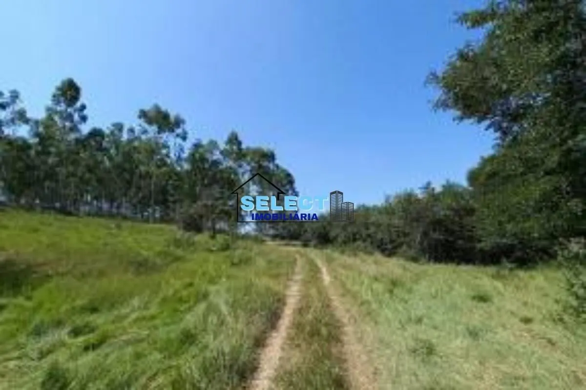 Fazenda à venda de 310 ha em Ribeirão Preto, SP, Brasil