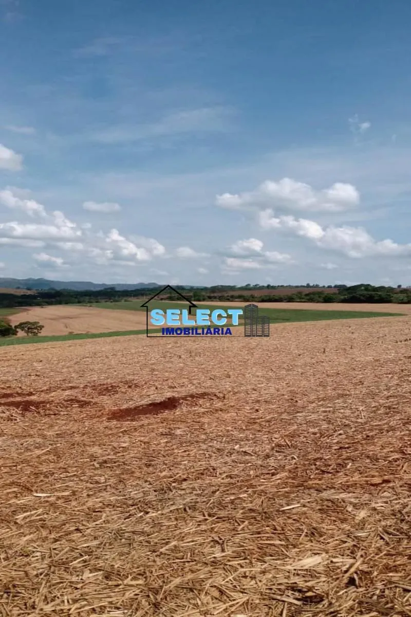 Fazenda à venda de 310 ha em Ribeirão Preto, SP, Brasil