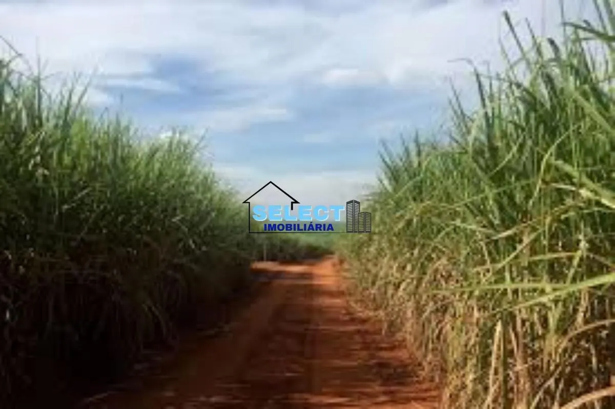 Fazenda à venda de 310 ha em Ribeirão Preto, SP, Brasil