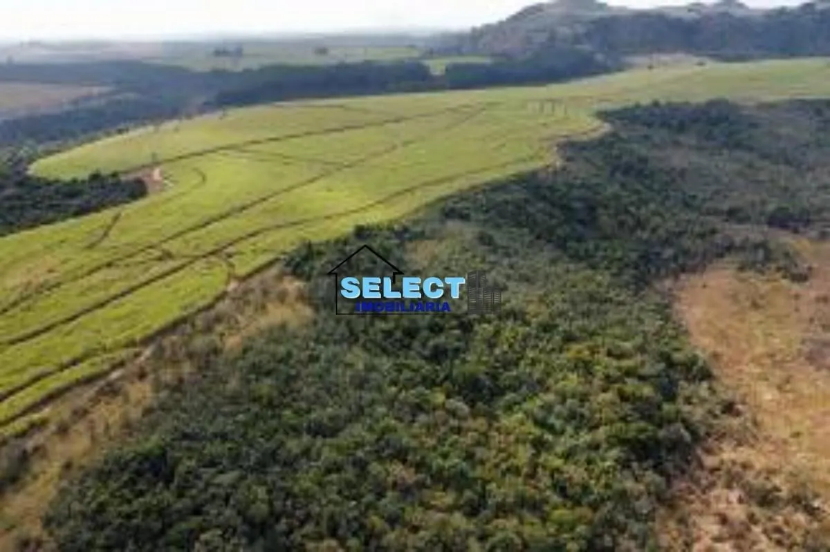 Fazenda à venda de 310 ha em Ribeirão Preto, SP, Brasil