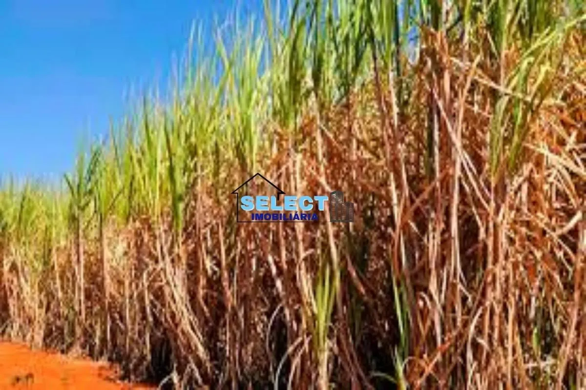 Fazenda à venda de 310 ha em Ribeirão Preto, SP, Brasil
