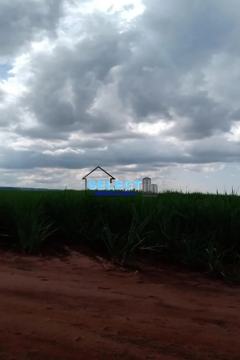Fazenda à venda de 310 ha em Ribeirão Preto, SP, Brasil