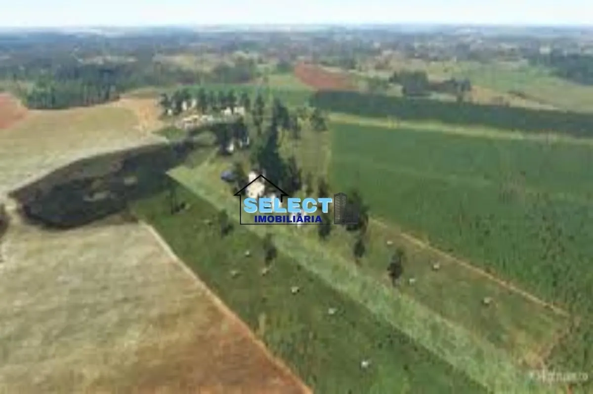 Fazenda à venda de 310 ha em Ribeirão Preto, SP, Brasil