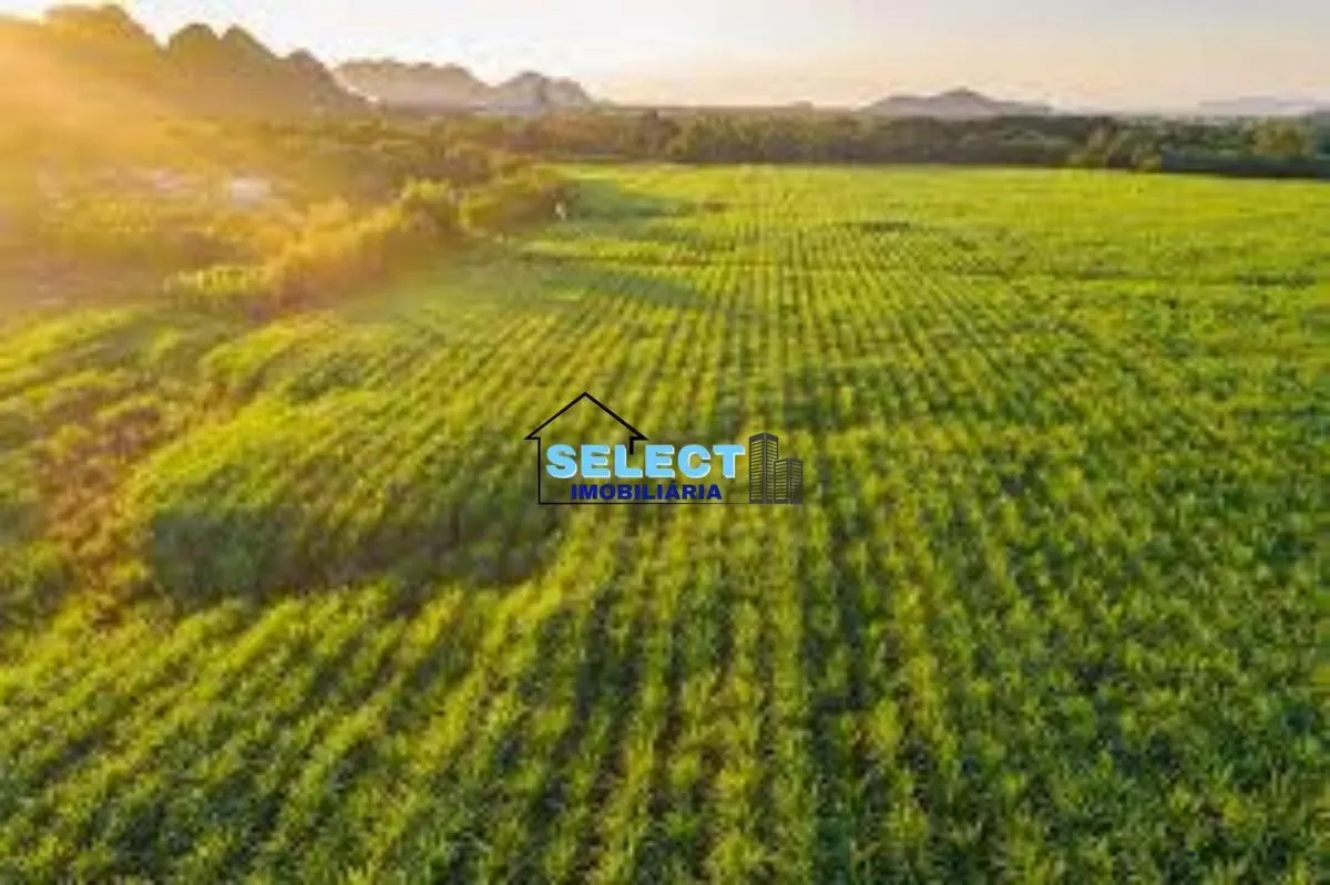 Fazenda à venda de 310 ha em Ribeirão Preto, SP, Brasil