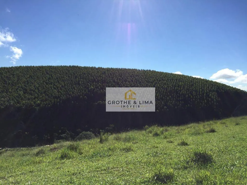 Small farm for sale of 42 acres in Pindamonhangaba, SP, Brazil