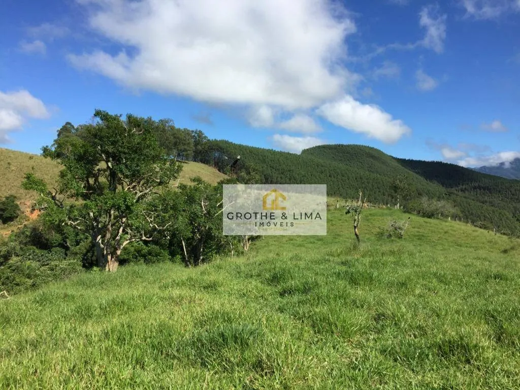 Small farm for sale of 42 acres in Pindamonhangaba, SP, Brazil