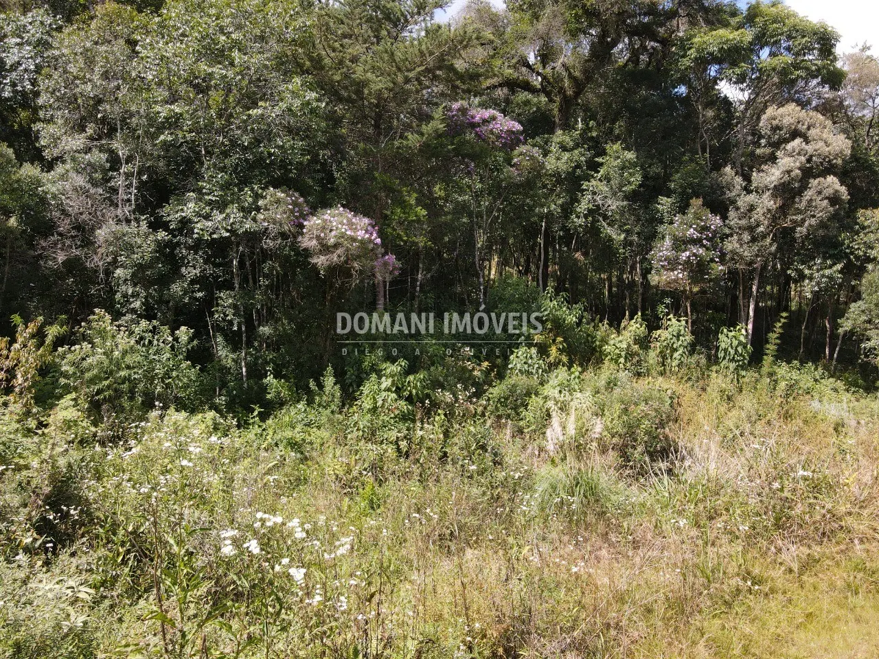 Terreno à venda de 1.500 m² em Campos do Jordão, SP, Brasil