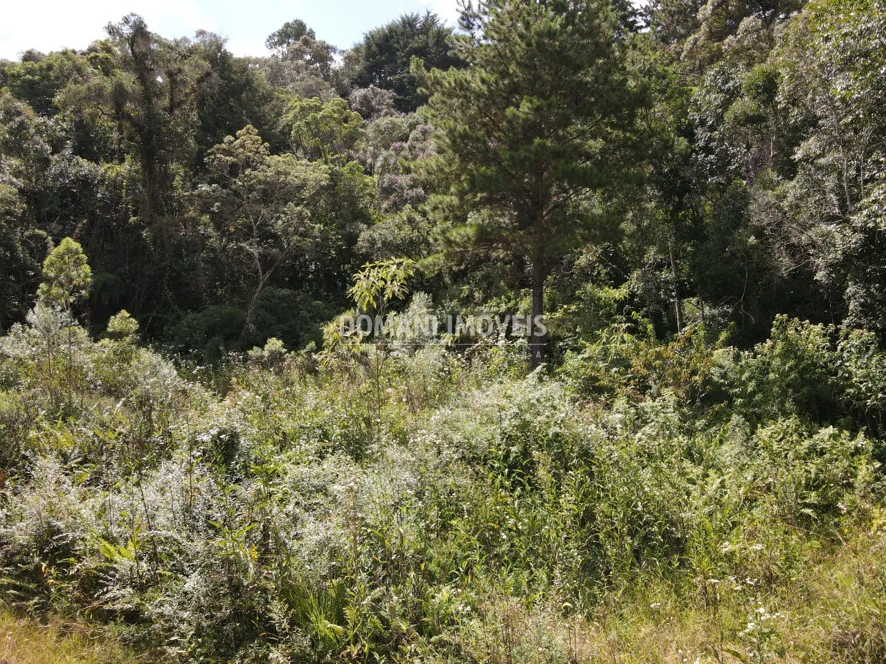 Terreno à venda de 1.500 m² em Campos do Jordão, SP, Brasil