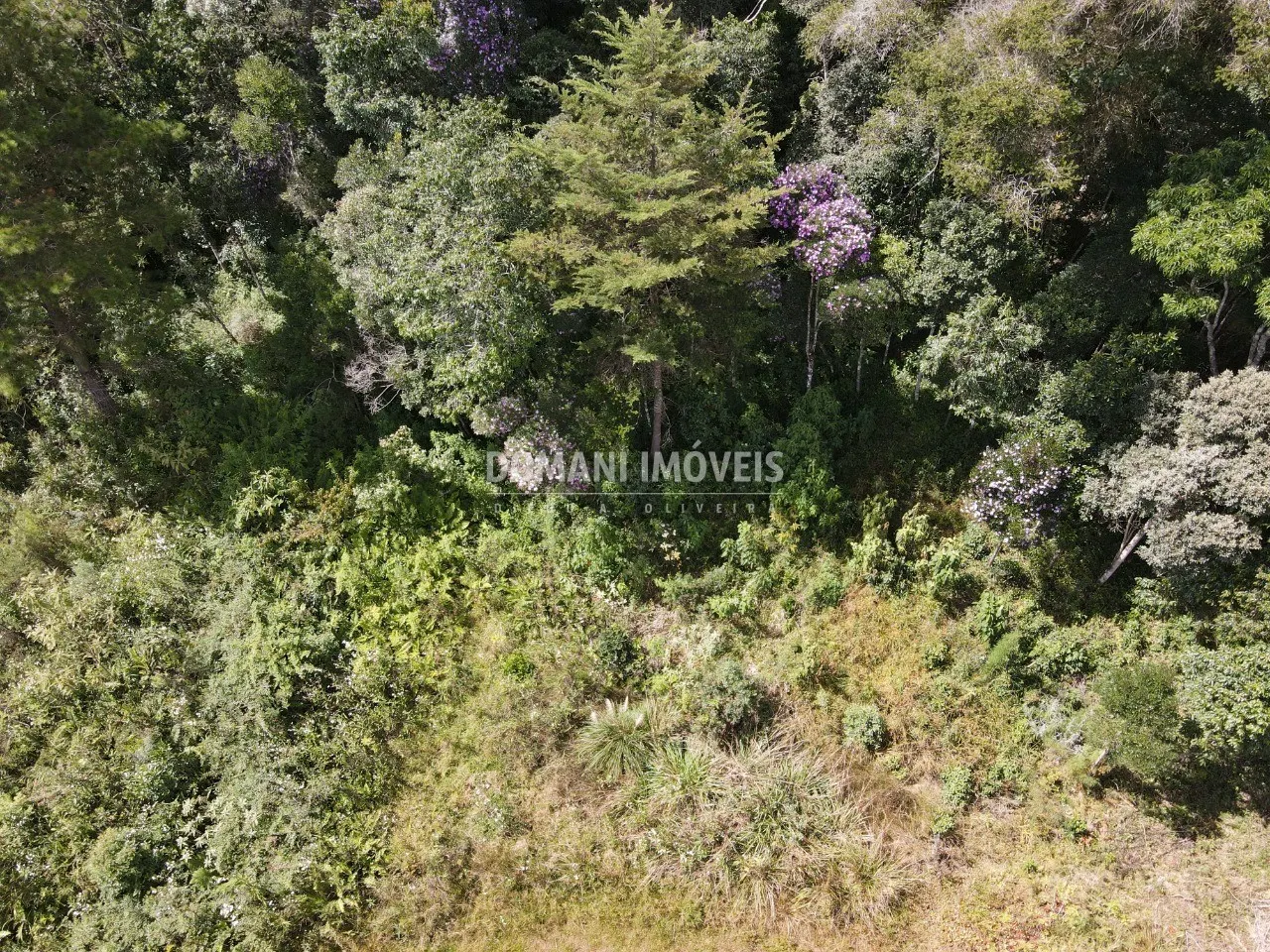 Terreno à venda de 1.500 m² em Campos do Jordão, SP, Brasil