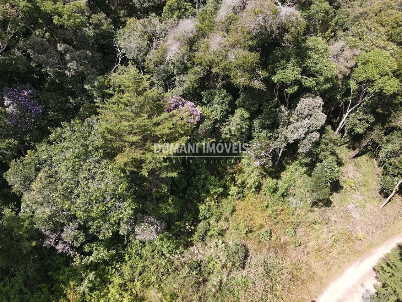 Terreno à venda de 1.500 m² em Campos do Jordão, SP, Brasil