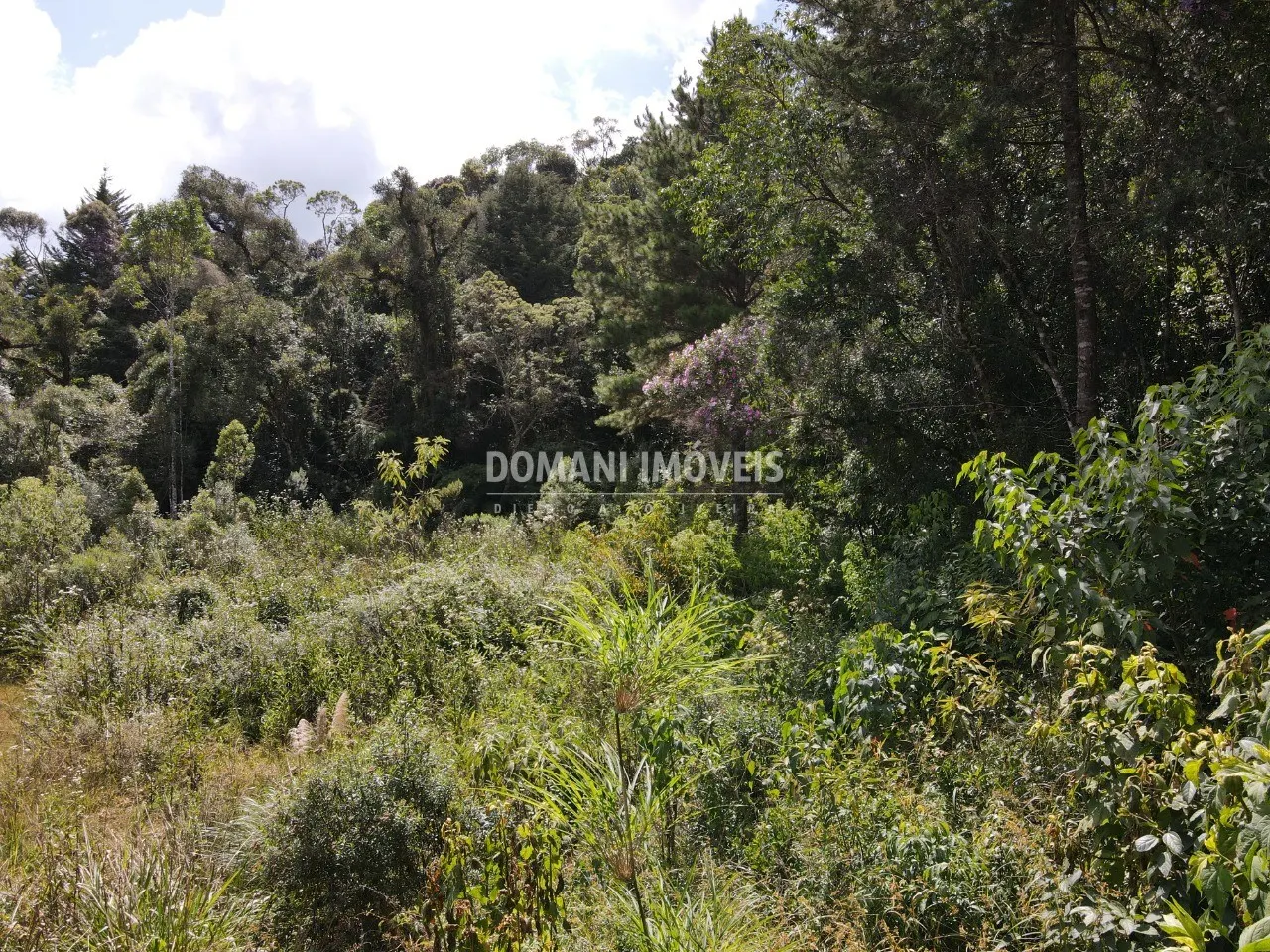 Terreno à venda de 1.500 m² em Campos do Jordão, SP, Brasil