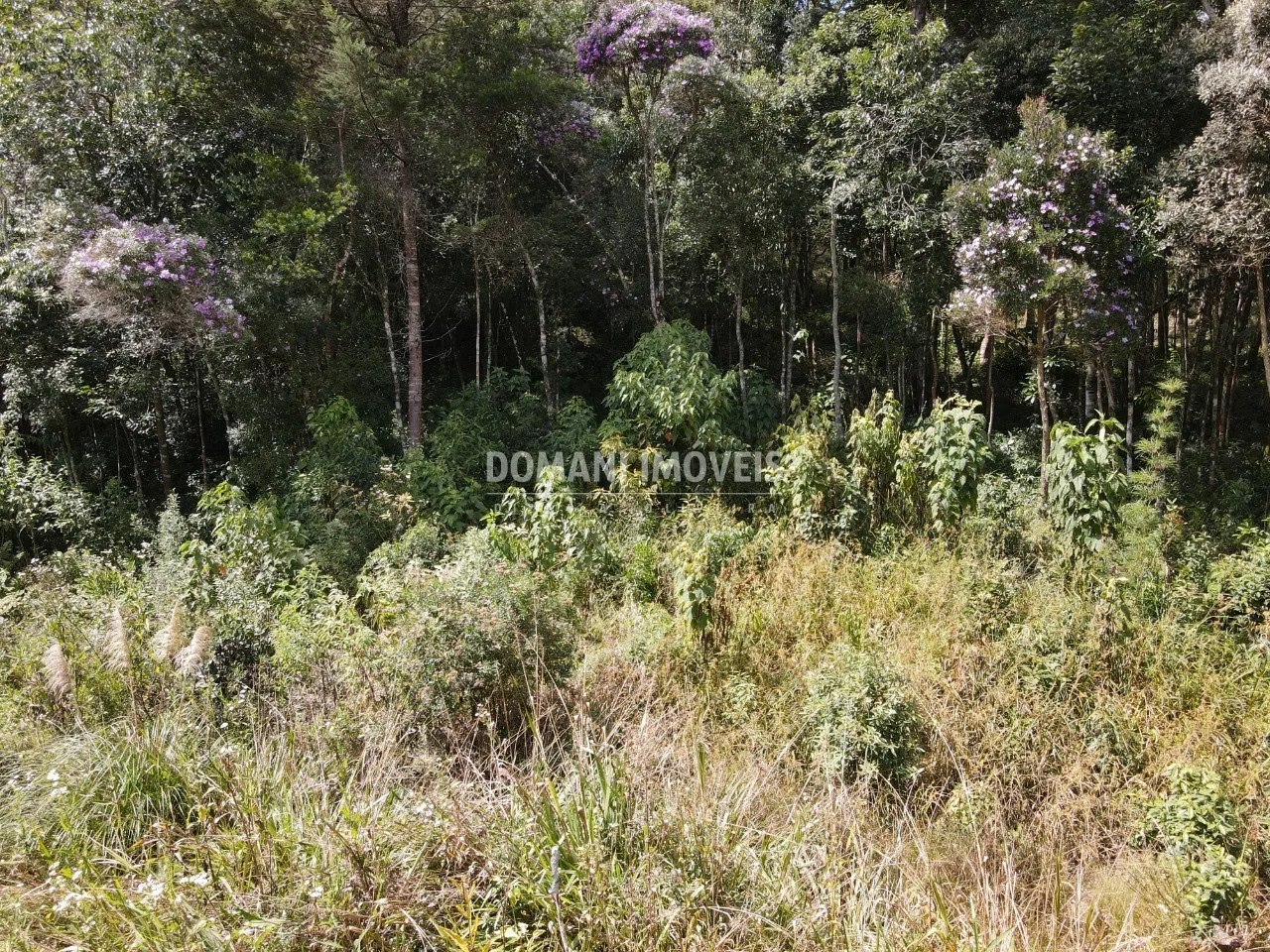 Terreno à venda de 1.500 m² em Campos do Jordão, SP, Brasil