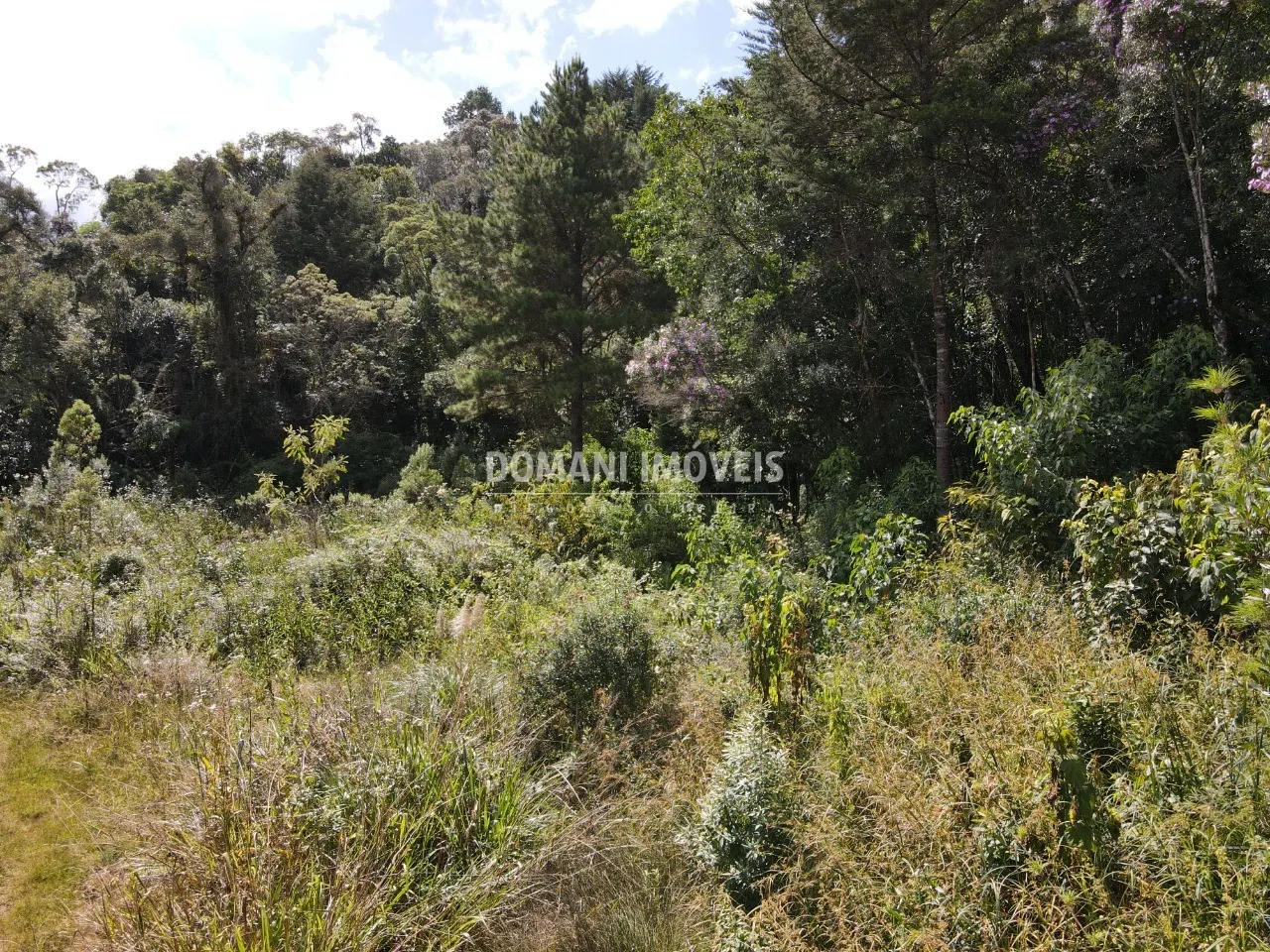 Terreno à venda de 1.500 m² em Campos do Jordão, SP, Brasil