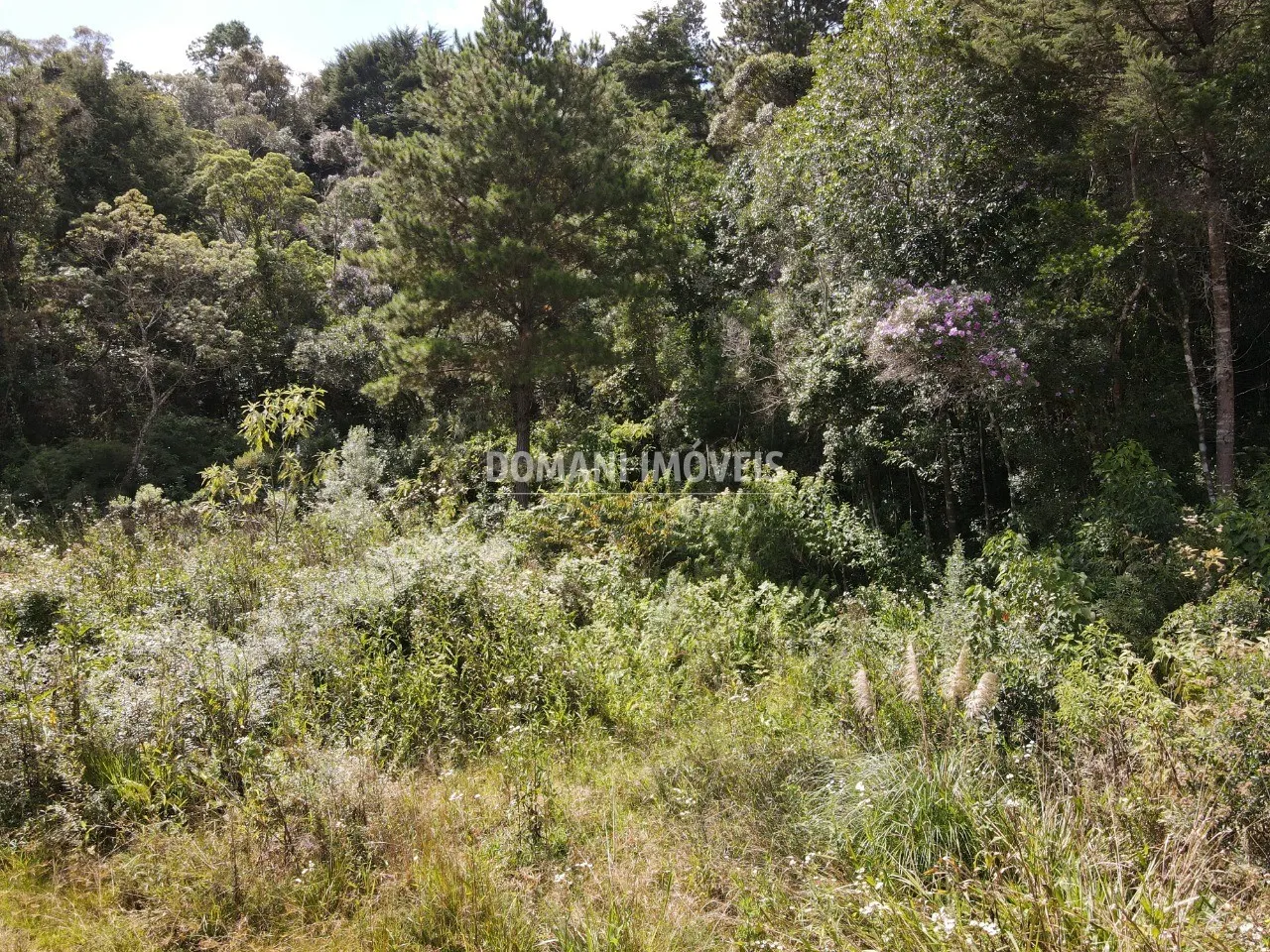 Terreno à venda de 1.500 m² em Campos do Jordão, SP, Brasil