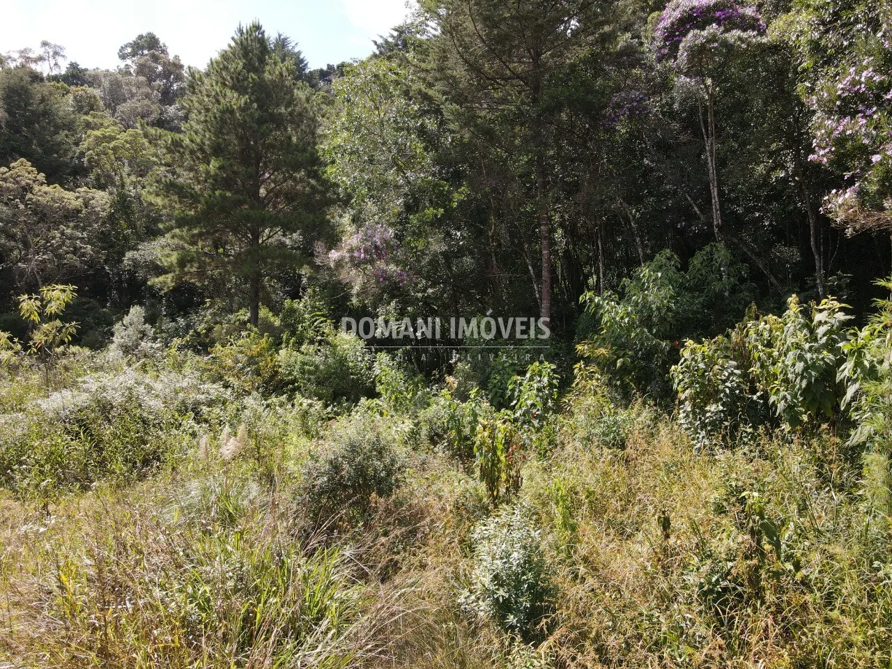 Terreno à venda de 1.500 m² em Campos do Jordão, SP, Brasil