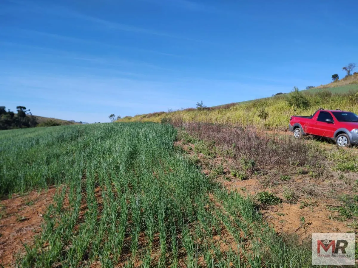 Plot for sale of 60 acres in Silvianópolis, MG, Brazil