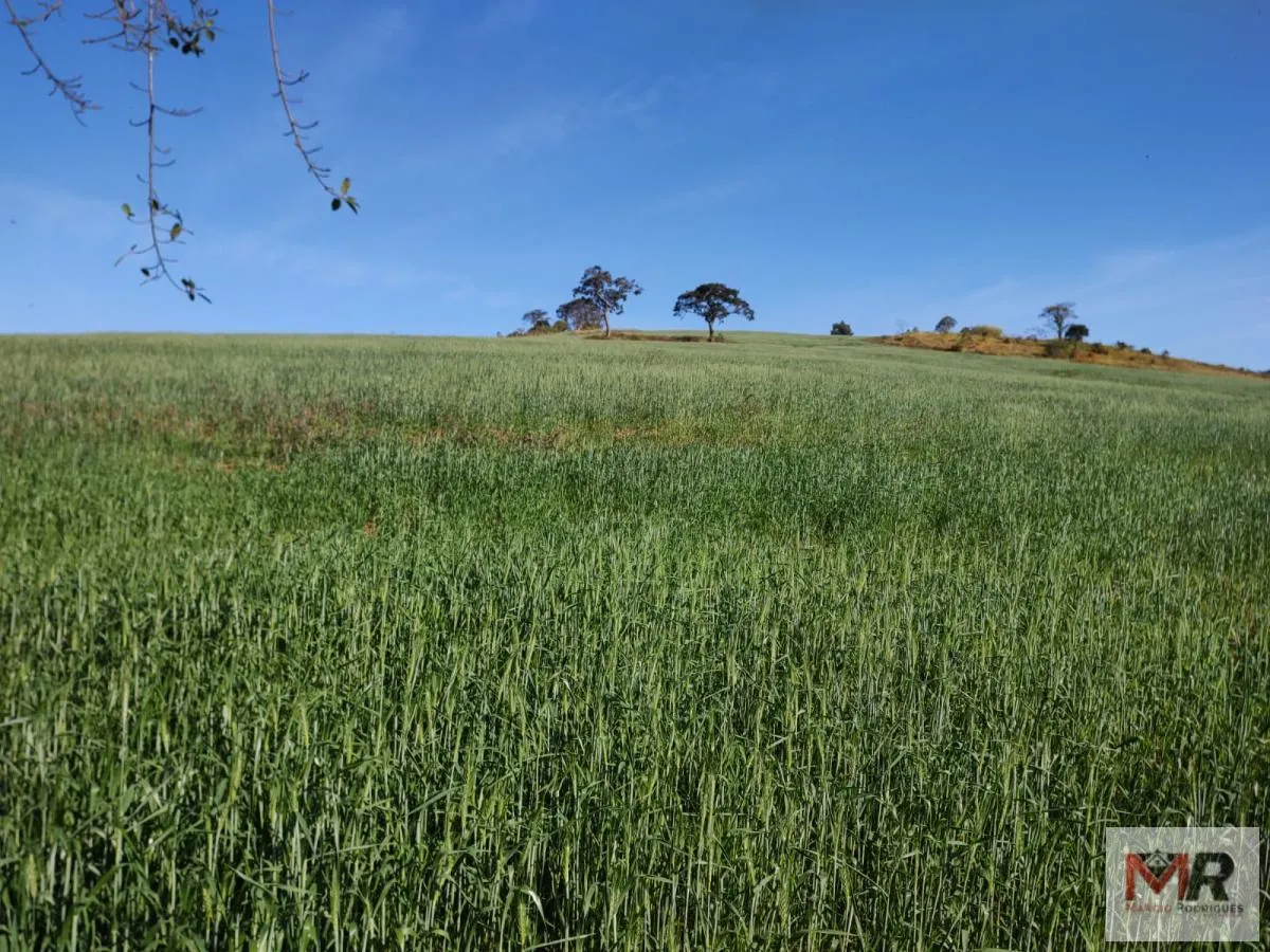 Plot for sale of 60 acres in Silvianópolis, MG, Brazil