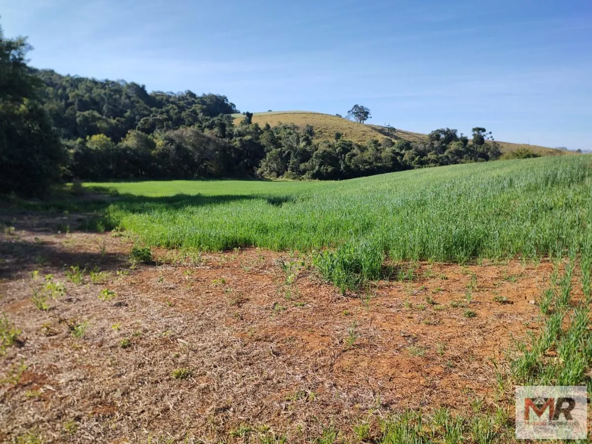 Plot for sale of 60 acres in Silvianópolis, MG, Brazil