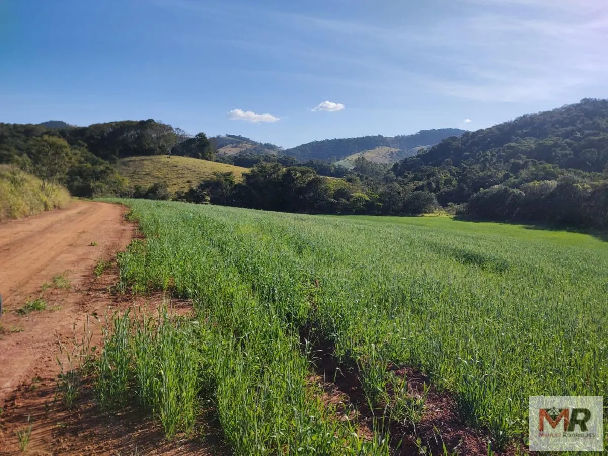 Plot for sale of 60 acres in Silvianópolis, MG, Brazil