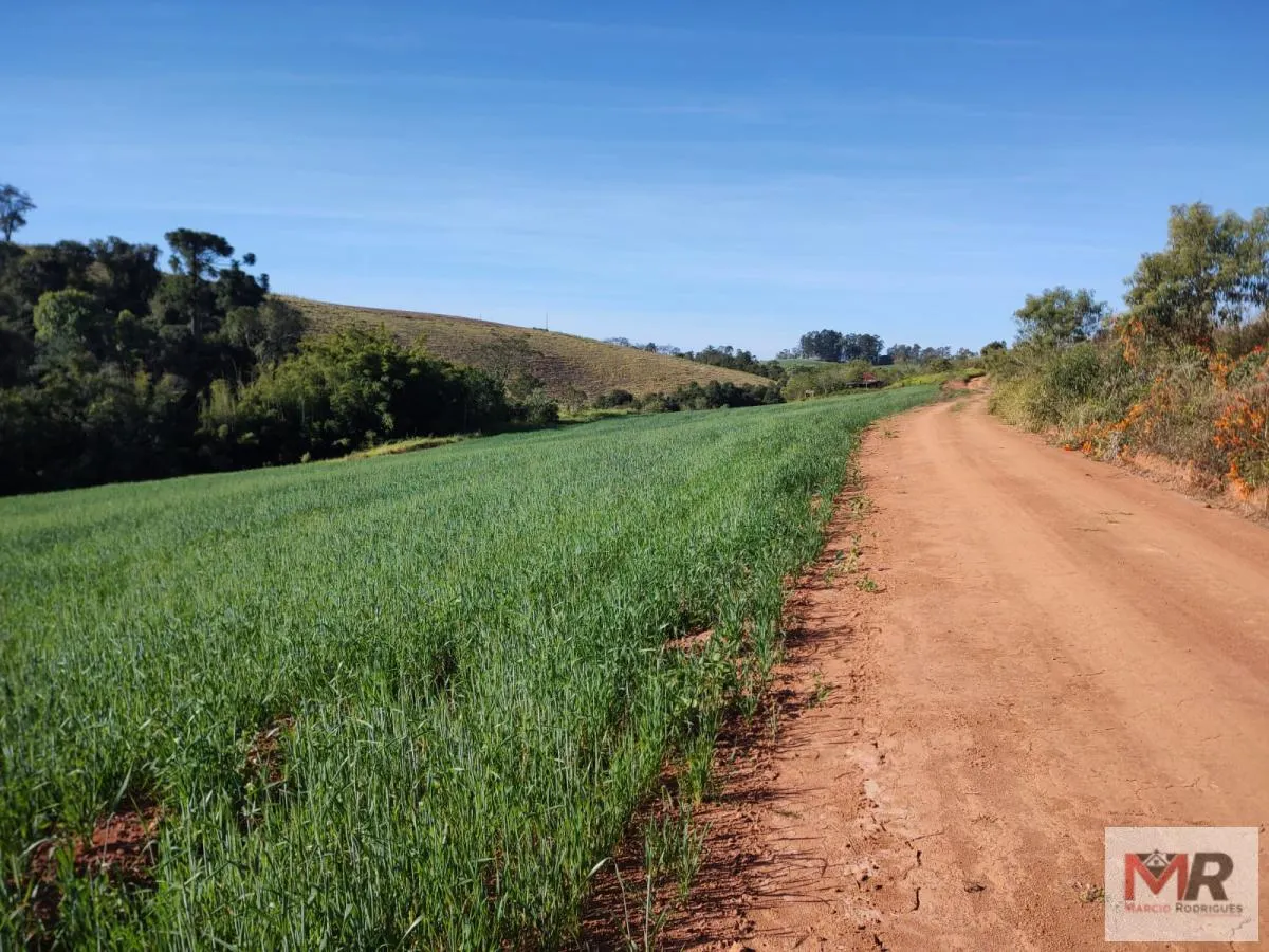 Plot for sale of 60 acres in Silvianópolis, MG, Brazil