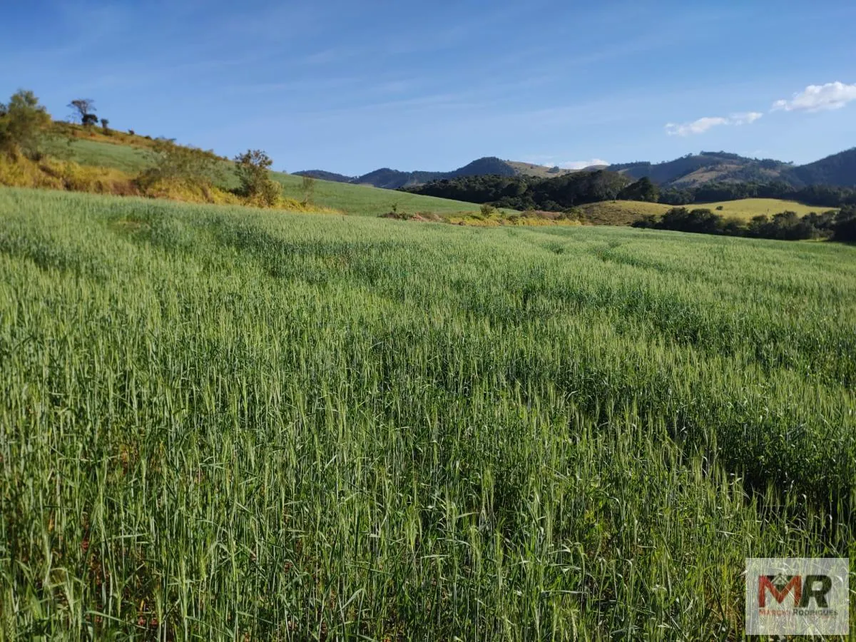 Plot for sale of 60 acres in Silvianópolis, MG, Brazil