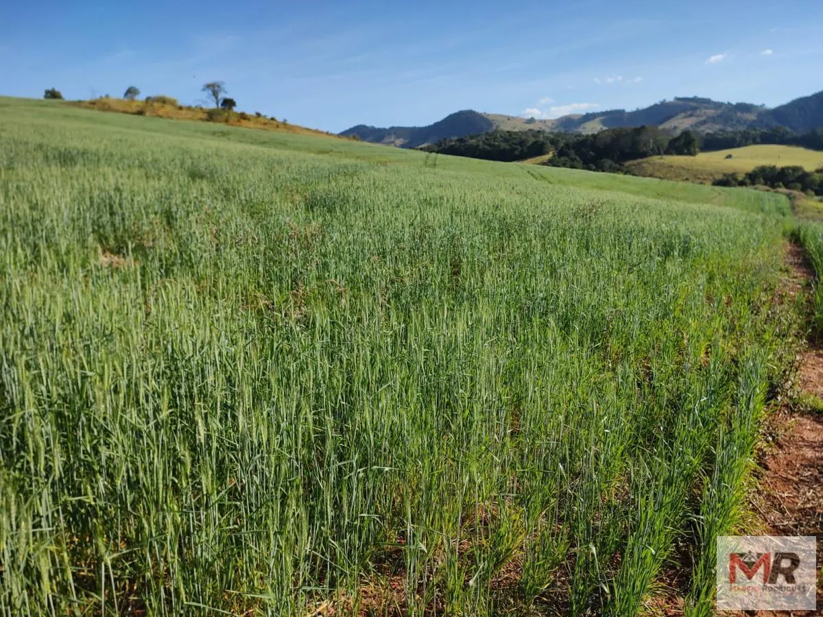 Plot for sale of 60 acres in Silvianópolis, MG, Brazil