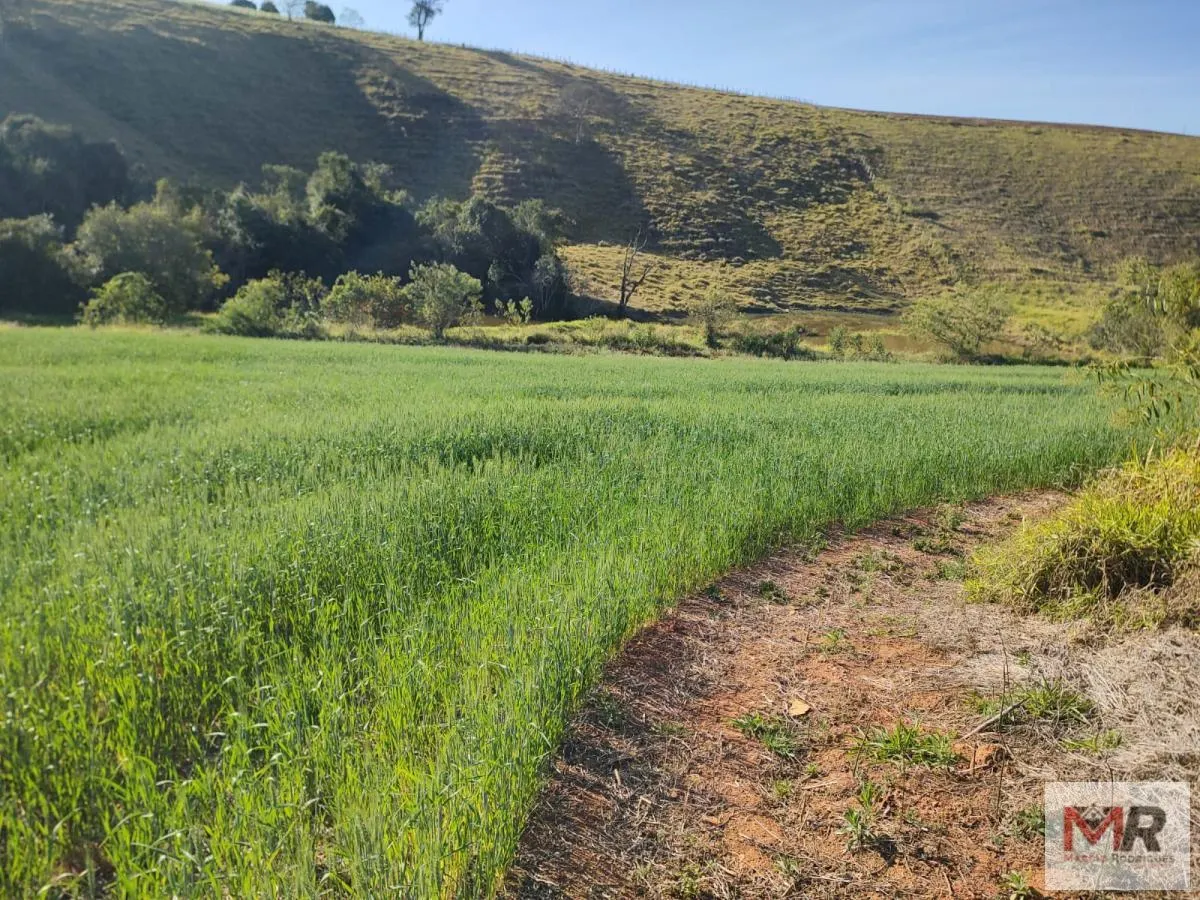 Terreno à venda de 24 ha em Silvianópolis, MG, Brasil