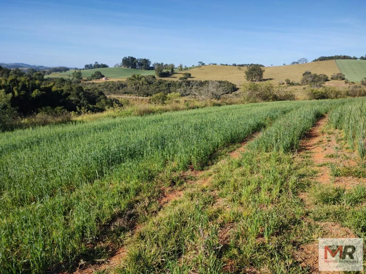 Plot for sale of 60 acres in Silvianópolis, MG, Brazil