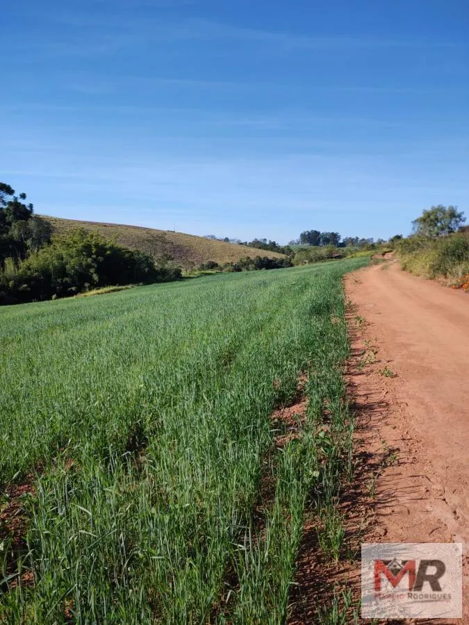 Plot for sale of 60 acres in Silvianópolis, MG, Brazil