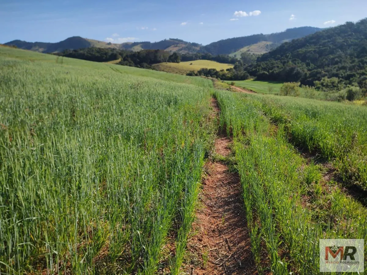 Plot for sale of 60 acres in Silvianópolis, MG, Brazil