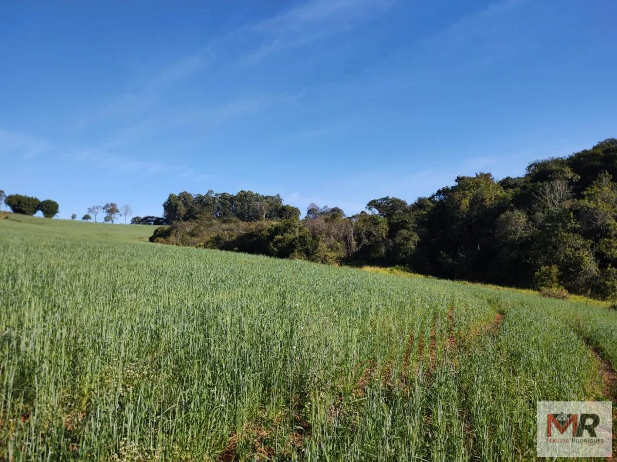Plot for sale of 60 acres in Silvianópolis, MG, Brazil